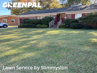 Grass Cutting nearby Portsmouth, VA, 