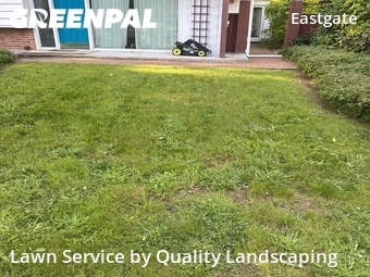 Lawn Mowingin Bellevue,98006,Yard Mowing by Quality Landscaping, work completed in Jun , 2026