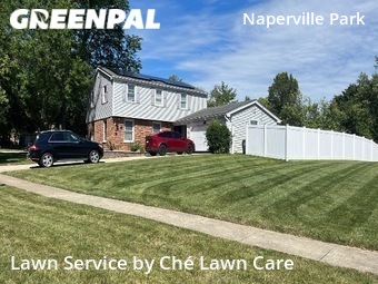 Lawn Maintenance nearby Naperville, IL, 