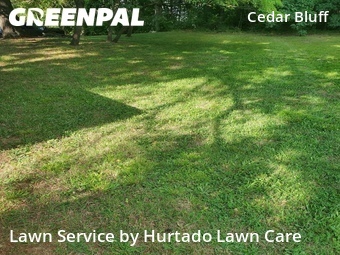 Lawn Cut nearby Knoxville, TN, 