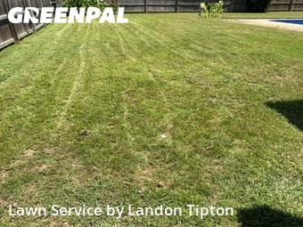 Lawn Mowing nearby Conway, AR, 