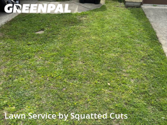 Lawn Service nearby Lafayette, LA, 