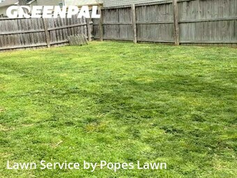 Yard Cutting nearby Franklin, TN, 