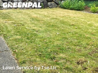 Lawn Maintenance nearby Renton, WA, 
