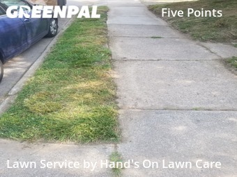 Grass Cut nearby Toledo, OH, 