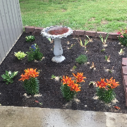 affordable-lawn-services-in-Tulsa-OK