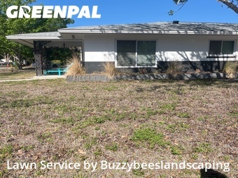 Grass Cut nearby Gulfport, FL, 