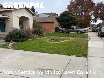 Work completed by local-lawn-care-services-in-Elk Grove-CA