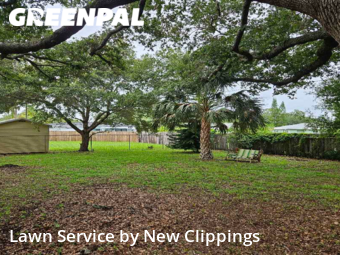 Lawn Cut nearby Clearwater, FL, 