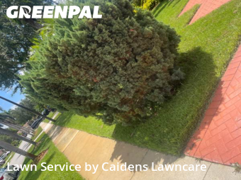 Lawn Mow nearby Pembroke Pines, FL, 