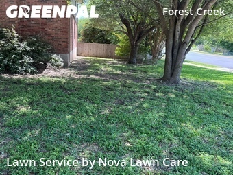 Lawn Maintenance nearby Round Rock, TX, 