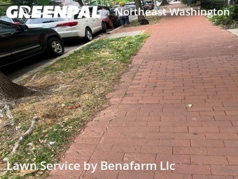Grass Cut nearby Washington, MD, 