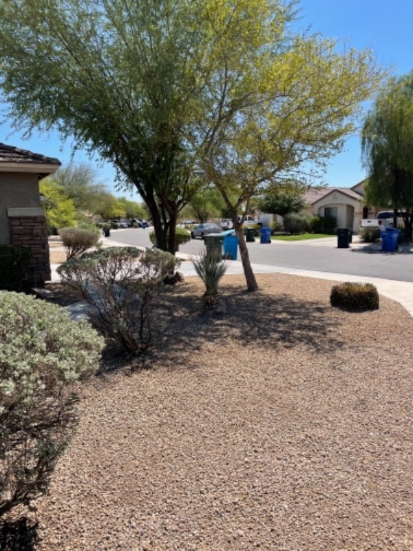 Yard mowing company in Phoenix, AZ, 85008