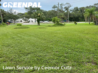 Lawn Mow nearby Daytona Beach, FL, 