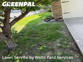 Grass Cutting nearby Noblesville, IN, 