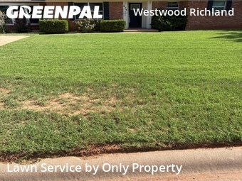 Landscaping Installation Abilene,79603,Landscaping Services by Only Property, work completed in Jun , 2026