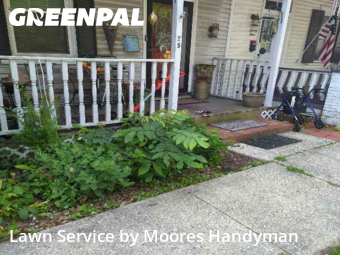 Weed Trimming in Camden, 19934, Lawn Services by Moores Handyman, work completed in Nov , 2025
