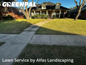 Grass Cuttingin The Colony,75056,Lawn Mowing Service by Alfas Landscaping, work completed in Nov , 2025