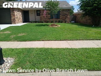 Lawn Mowing nearby Watauga, TX, 