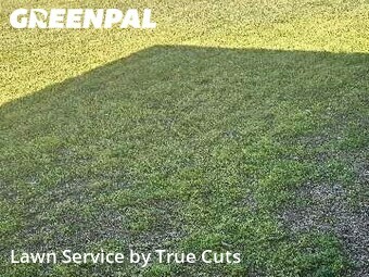 Lawn Cut nearby Midwest City, OK, 