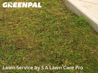 Lawn Care nearby Austin, TX, 