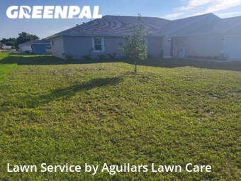 Lawn Cutting nearby Ocala, FL, 