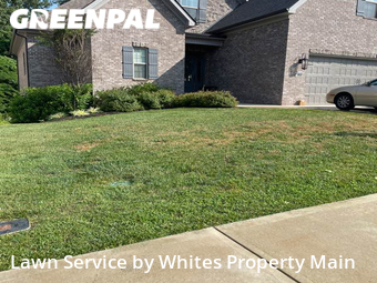 Grass Cut nearby Tennessee, TN, 