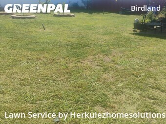 Work completed by grass-care-professionals-in in San Diego, CA