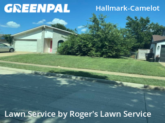 Grass Cut nearby Fort Worth, TX, 