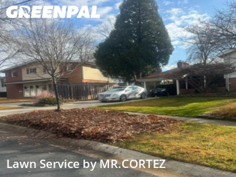 Lawn Cut nearby Silver Spring, MD, 