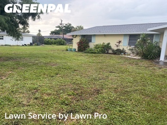Lawn mowing work completed in Venice, CA