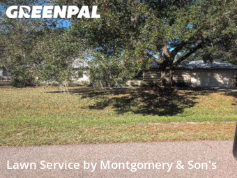 Lawn Mowing nearby Mulberry, FL, 