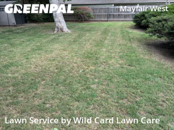 Lawn Cut nearby Oklahoma City, OK, 
