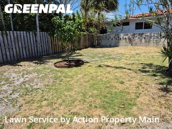 Lawn Cut nearby Surfside, FL, 