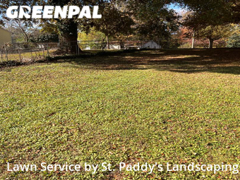 Grass Cut nearby Gastonia, NC, 