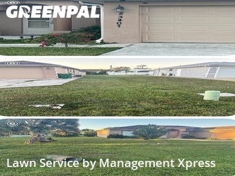 Yard Services in Port Charlotte, 33980, Yard Care by Management Xpress , work completed in Nov , 2025