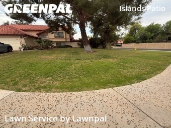 Grass Cutting nearby Gilbert, AZ, 