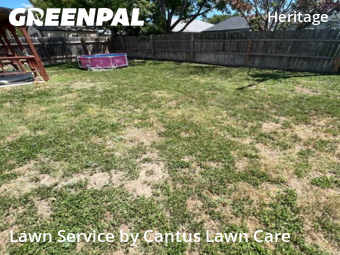 Lawn Care Service nearby San Antonio, TX, 