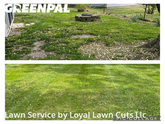 Yard Cutting nearby Sandusky, OH, 