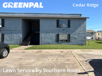 Lawn Cutting nearby Bryan, TX, 