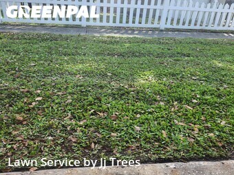 Grass Cut nearby Clearwater, FL, 