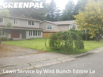 Grass Cutting nearby Kirkland, WA, 