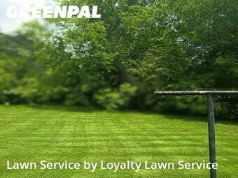 Yard Cutting nearby East Ridge, TN, 