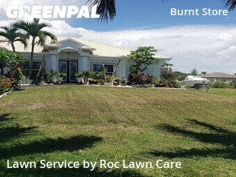 Lawn Mowing nearby Cape Coral, FL, 