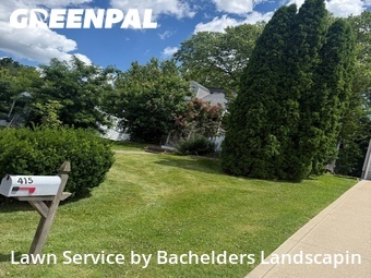 Lawn Cutting nearby Mansfield, OH, 