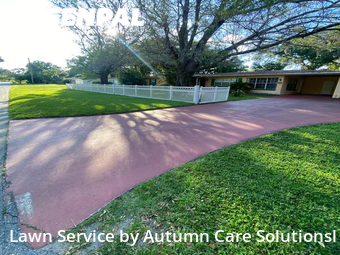 Lawn Mowing Service nearby Tampa, FL, 