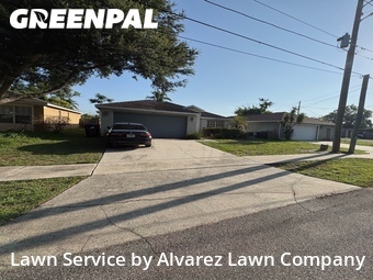 Lawn Cutin Orlando,32804,Lawn Mow by Alvarez Lawn Company, work completed in Jun , 2026