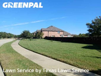 Lawn Carein Roanoke,76262,Lawn Mowing Service by Texas Lawn Service, work completed in Jan , 2026