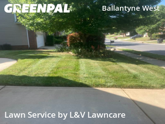 Grass Cut nearby Charlotte, NC, 