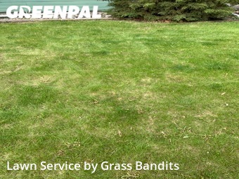 Lawn Maintenance nearby Billings, MT, 